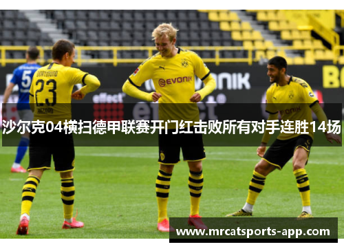 沙尔克04横扫德甲联赛开门红击败所有对手连胜14场